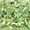 Click to View Our Collection Fancy Green Diamonds Fancy Colors - Green Diamonds